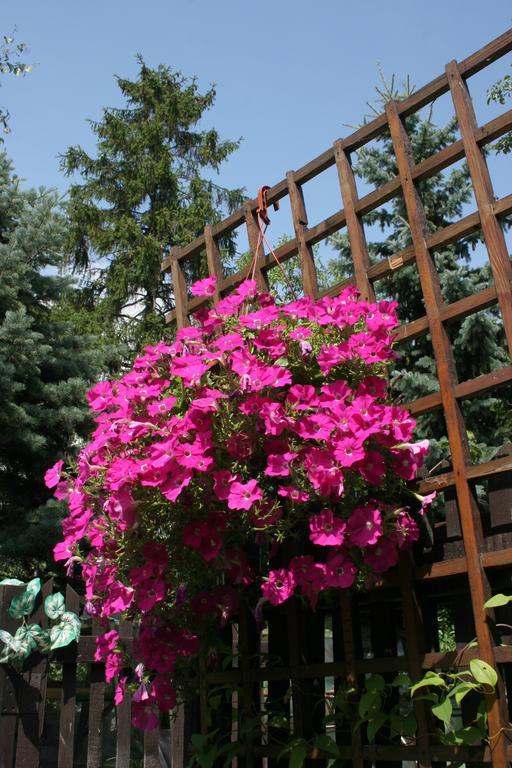 Penzion Eva Krnov Dış mekan fotoğraf